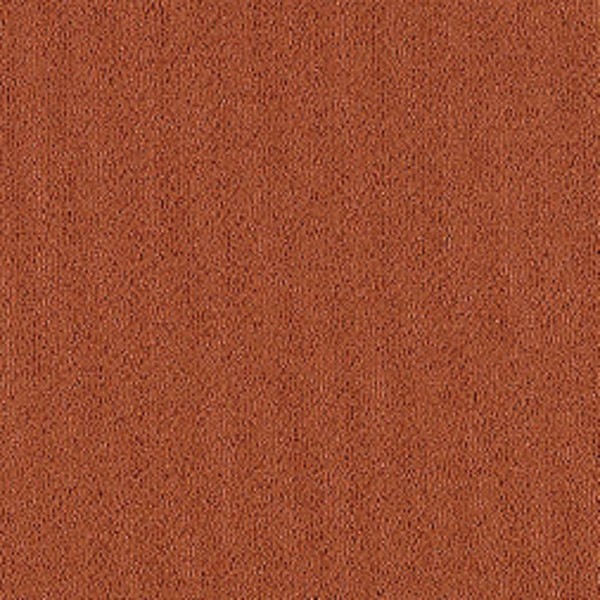 Color Pop Plank Tile Cajun Spice